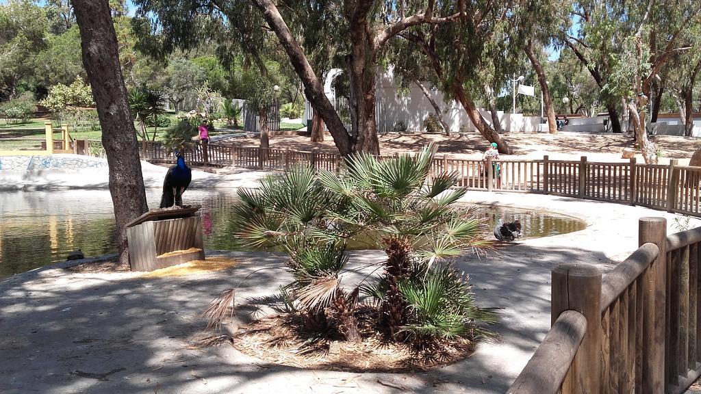 Guardamar Centro Διαμέρισμα Guardamar del Segura Εξωτερικό φωτογραφία